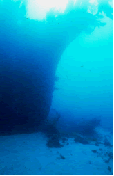 The Eliza Ramsden's impressive clipper bow (Photo: Heritage Victoria)