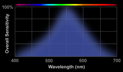 Graph showing the spectral sensitivity of the rod-like light sensors in human eyes